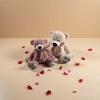 Customized plush toys, trendy dolls, plush figurines, cute plush toys Specification image